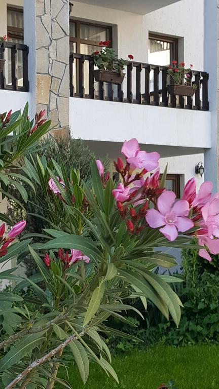 D&S - Severina Hotel Slăntjev Brjag Exteriör bild